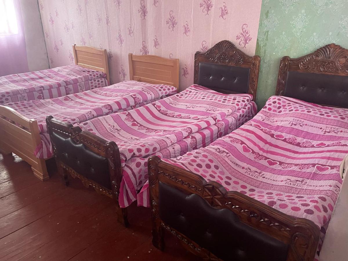 Gunter Guest House Adishi Bagian luar foto