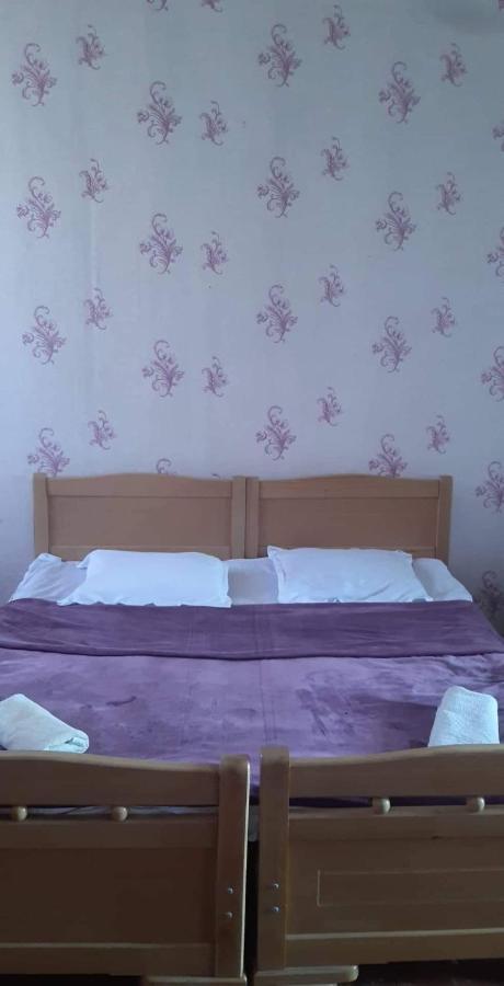 Gunter Guest House Adishi Bagian luar foto